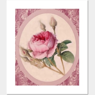 VINTAGE ROSE Posters and Art